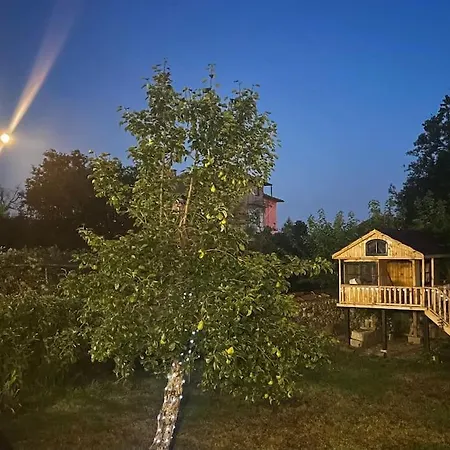 فيلة Large Cosy House By A Forest - Treehouse, Bbq, Fireplace & Mountain