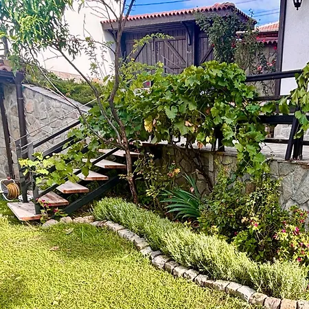 别墅 Large Cosy House By A Forest - Treehouse, Bbq, Fireplace & Mountain *