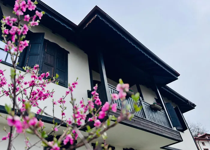 Large Cosy House By A Forest - Treehouse, Bbq, Fireplace & Mountain *